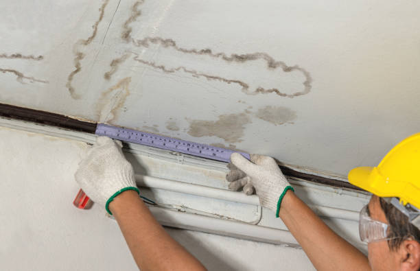 Reliable Flood Cleanup contractor in Abingdon, VA by Water Damage Irwin